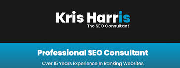 professional seo consultant