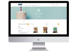 shopify web designer