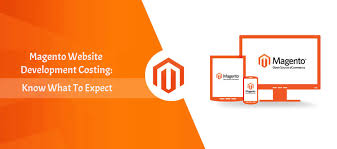 web agency magento