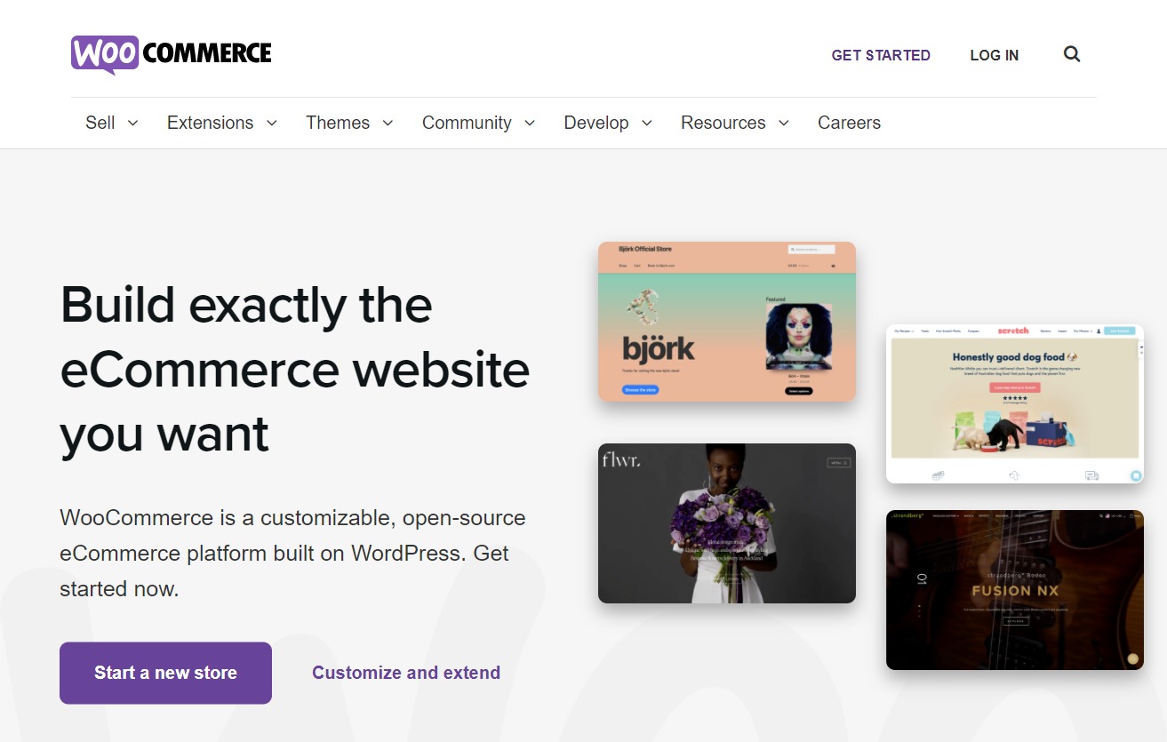 ecommerce site